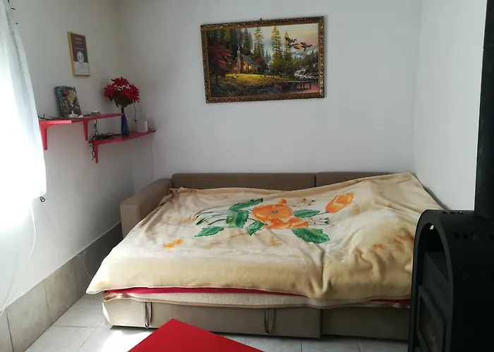 Dom wakacyjny Tiszavirag Vendeghaz