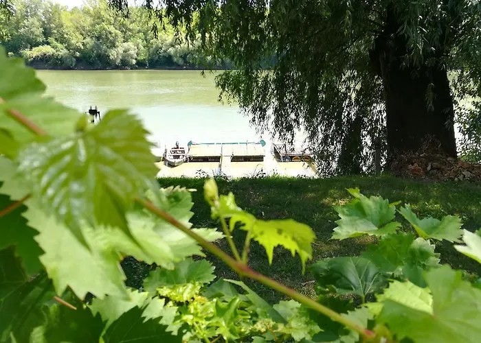 Dom wakacyjny Tiszavirag Vendeghaz Segedyn