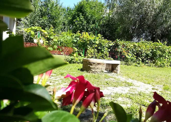 Dom wakacyjny Tiszavirag Vendeghaz