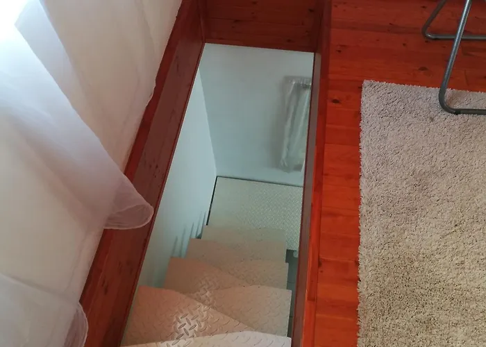 Tiszavirag Vendeghaz Dom wakacyjny Segedyn